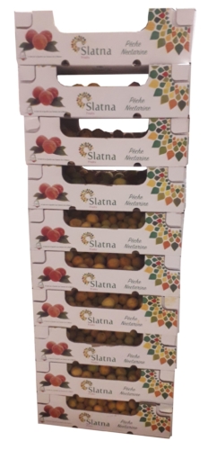 20200609_085434-1-scaled-1