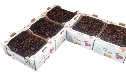 20200616_131823-1-scaled-1