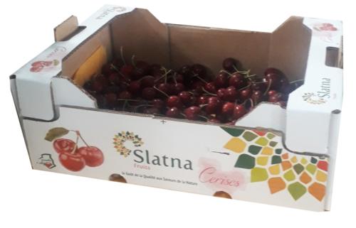 20200616_131859-scaled-1