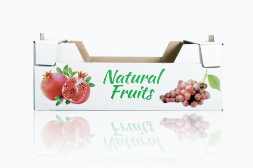 caisse-natural-fruit-1-1