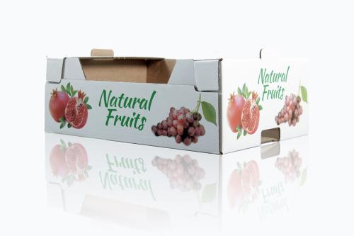 caisse-natural-fruit-2
