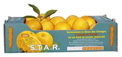 plateau-oranges-scaled-1