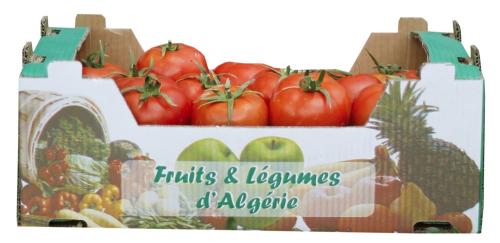 plateau-tomates-scaled-1